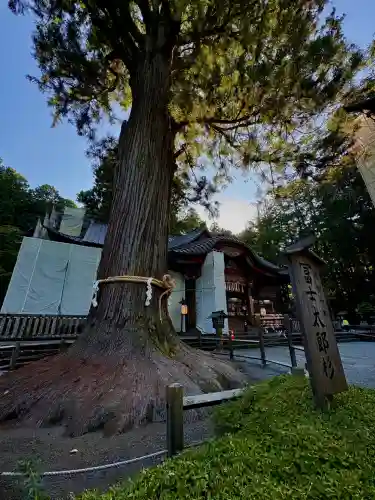 北口本宮冨士浅間神社(山梨県)