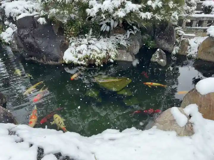大蓮寺(千葉県)