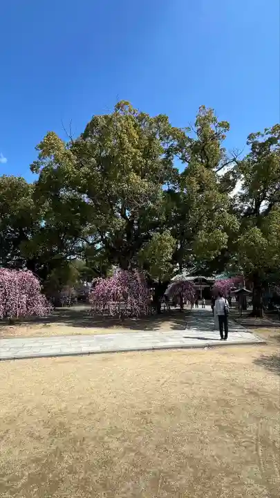 屯倉神社(大阪府)