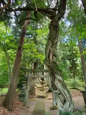 白河神社の鳥居