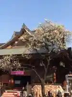 湯島天満宮の本殿・本堂