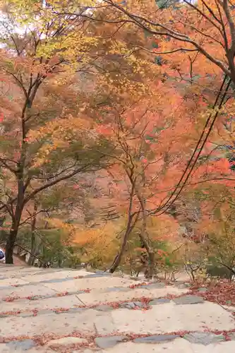 神護寺の景色