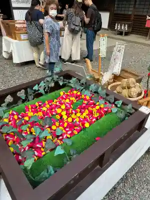 川越氷川神社(埼玉県)