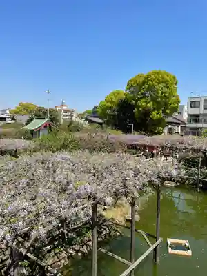 亀戸天神社(東京都)