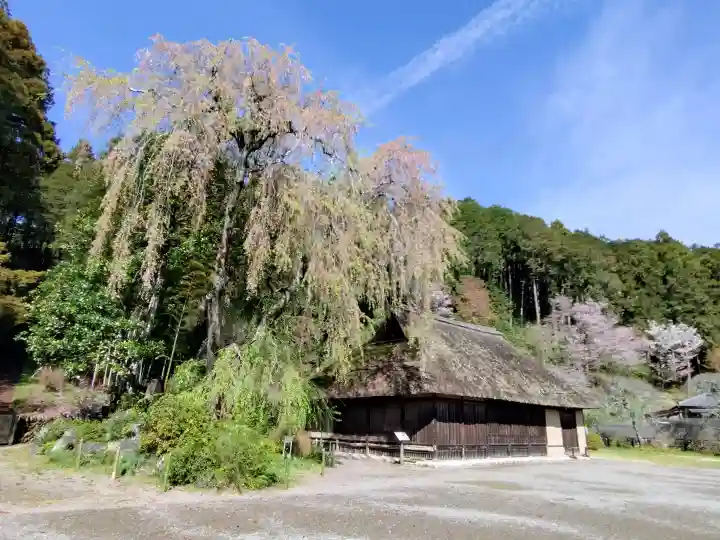 高麗神社(埼玉県)
