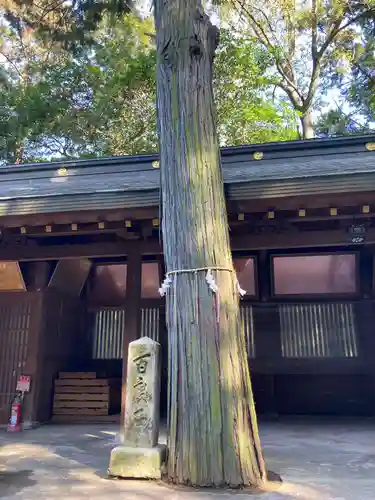 鹿嶋神社のその他建物