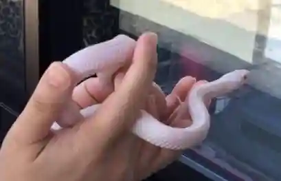 清光院(静岡県)