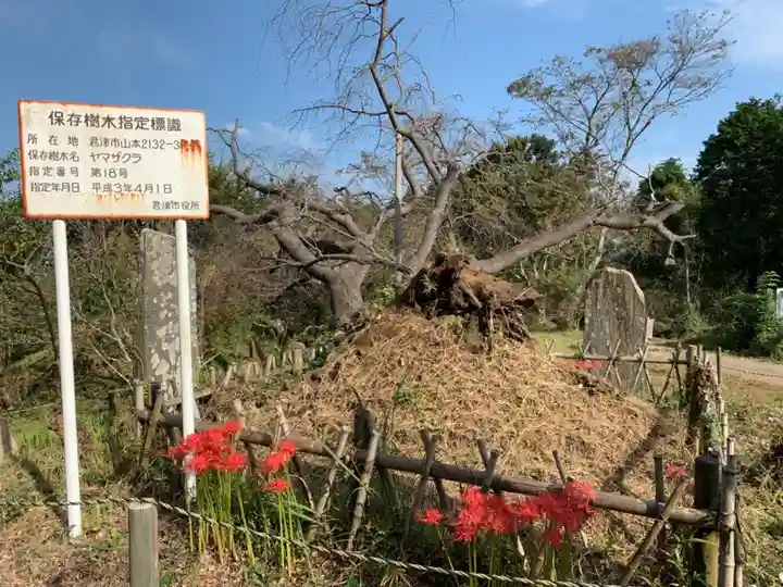 船塚神社のその他建物