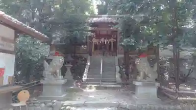 春日神社の本殿・本堂