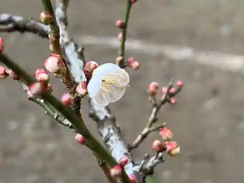 大洗磯前神社(茨城県)