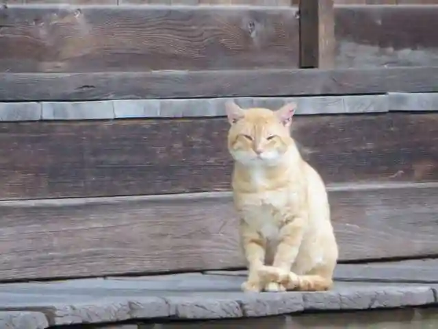 智恩寺(京都府)