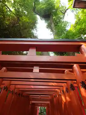 日枝神社(東京都)