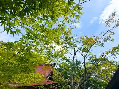木舟山　順教寺(広島県)