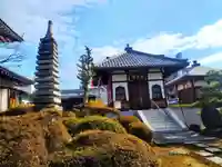 単伝庵(京都府)