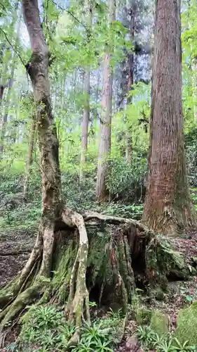 御岩神社の庭園