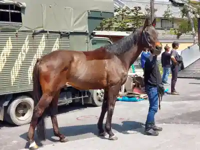 大神神社の{uncategorized: "未分類", other: "その他", undefined: "問題あり", building: "その他建物", grave: "お墓", sacred_gate: "鳥居", guardian: "狛犬", statue: "像", buddha: "仏像", history: "歴史", nature: "自然", garden: "庭園", animal: "動物", pagoda: "塔", temizu: "手水舎", mountain_gate: "山門・神門", sanctuary: "本殿・本堂", subordinate: "末社・摂社", art: "芸術", scenery: "景色", jizo: "地蔵", ema: "絵馬", goshuin: "御朱印", omikuji: "おみくじ", items: "授与品その他", amulet: "お守り", goshuincho: "御朱印帳", eats: "食事", festival: "お祭り", votive_dance: "神楽", shichigosan: "七五三参", wedding: "結婚式", experience: "体験その他", initially: "初詣", around: "周辺", anti_infection: "感染症対策"}