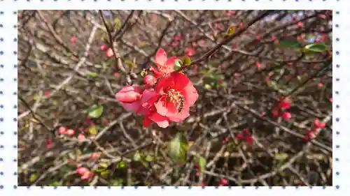 冠稲荷神社(群馬県)