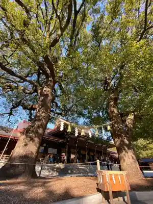 明治神宮のその他建物