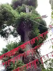 三輪神社の建物その他