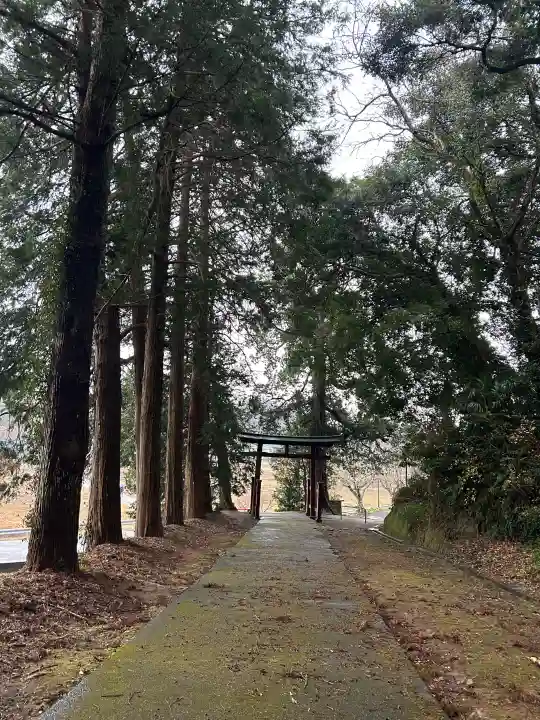 賀茂神社の{uncategorized: "未分類", other: "その他", undefined: "問題あり", building: "その他建物", grave: "お墓", sacred_gate: "鳥居", guardian: "狛犬", statue: "像", buddha: "仏像", history: "歴史", nature: "自然", garden: "庭園", animal: "動物", pagoda: "塔", temizu: "手水舎", mountain_gate: "山門・神門", sanctuary: "本殿・本堂", subordinate: "末社・摂社", art: "芸術", scenery: "景色", jizo: "地蔵", ema: "絵馬", goshuin: "御朱印", omikuji: "おみくじ", items: "授与品その他", amulet: "お守り", goshuincho: "御朱印帳", eats: "食事", festival: "お祭り", votive_dance: "神楽", shichigosan: "七五三参", wedding: "結婚式", experience: "体験その他", initially: "初詣", around: "周辺", anti_infection: "感染症対策"}