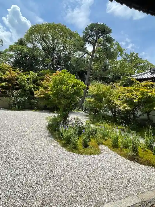 廬山寺(廬山天台講寺)(京都府)