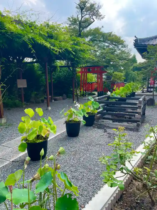 五大堂同聚院の{uncategorized: "未分類", other: "その他", undefined: "問題あり", building: "その他建物", grave: "お墓", sacred_gate: "鳥居", guardian: "狛犬", statue: "像", buddha: "仏像", history: "歴史", nature: "自然", garden: "庭園", animal: "動物", pagoda: "塔", temizu: "手水舎", mountain_gate: "山門・神門", sanctuary: "本殿・本堂", subordinate: "末社・摂社", art: "芸術", scenery: "景色", jizo: "地蔵", ema: "絵馬", goshuin: "御朱印", omikuji: "おみくじ", items: "授与品その他", amulet: "お守り", goshuincho: "御朱印帳", eats: "食事", festival: "お祭り", votive_dance: "神楽", shichigosan: "七五三参", wedding: "結婚式", experience: "体験その他", initially: "初詣", around: "周辺", anti_infection: "感染症対策"}