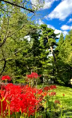 蚊里田八幡宮(長野県)