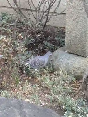 源長寺(東京都)