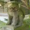 権現山内浦神社の狛犬