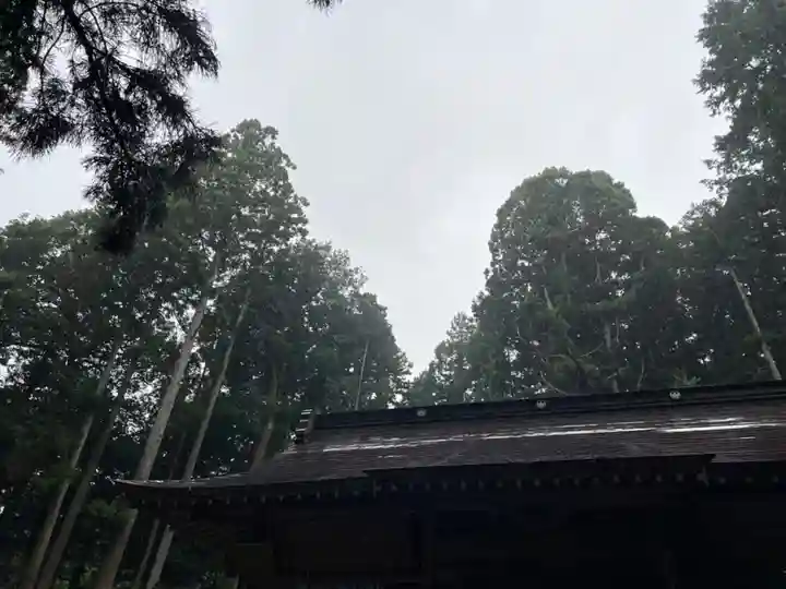 大宮温泉神社(栃木県)