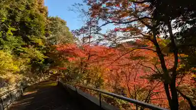善峯寺(京都府)