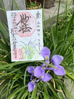 妙蓮寺(神奈川県)