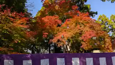 北野天満宮(京都府)