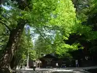 諏訪大社下社秋宮(長野県)