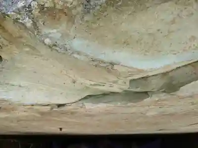 加茂河原石切不動尊(福井県)