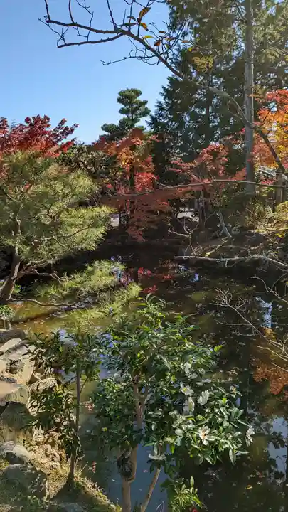 神光院(京都府)