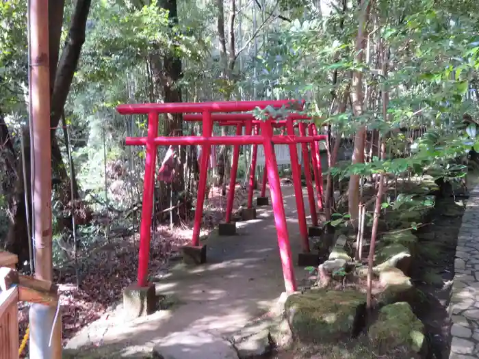 狸福神社の鳥居