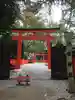 河合神社(鴨川合坐小社宅神社)の鳥居