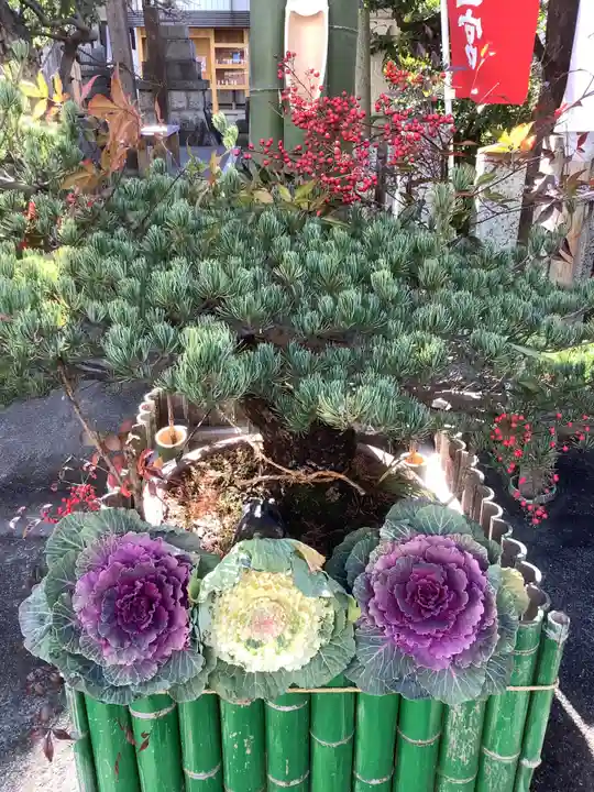 御嶽神社茅萱宮の自然