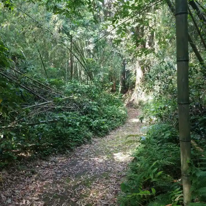 香取神社の自然