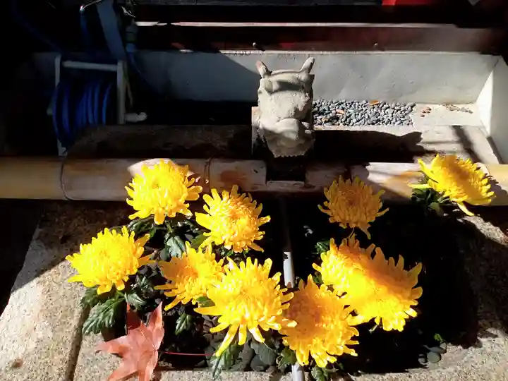 美多彌神社の手水舎