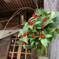 豊景神社の建物その他