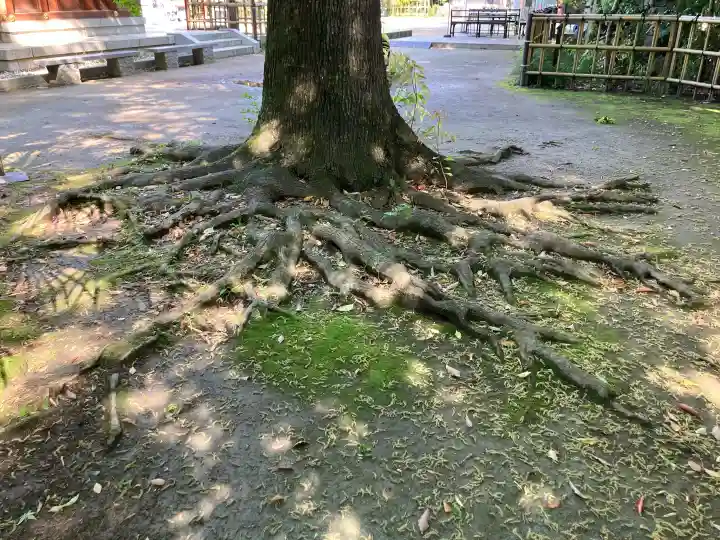 新田神社の{uncategorized: "未分類", other: "その他", undefined: "問題あり", building: "その他建物", grave: "お墓", sacred_gate: "鳥居", guardian: "狛犬", statue: "像", buddha: "仏像", history: "歴史", nature: "自然", garden: "庭園", animal: "動物", pagoda: "塔", temizu: "手水舎", mountain_gate: "山門・神門", sanctuary: "本殿・本堂", subordinate: "末社・摂社", art: "芸術", scenery: "景色", jizo: "地蔵", ema: "絵馬", goshuin: "御朱印", omikuji: "おみくじ", items: "授与品その他", amulet: "お守り", goshuincho: "御朱印帳", eats: "食事", festival: "お祭り", votive_dance: "神楽", shichigosan: "七五三参", wedding: "結婚式", experience: "体験その他", initially: "初詣", around: "周辺", anti_infection: "感染症対策"}