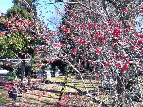 大宮神社(福井県)