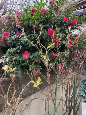 弘明寺稲荷大明神(神奈川県)