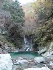 甲斐駒ヶ岳神社の自然