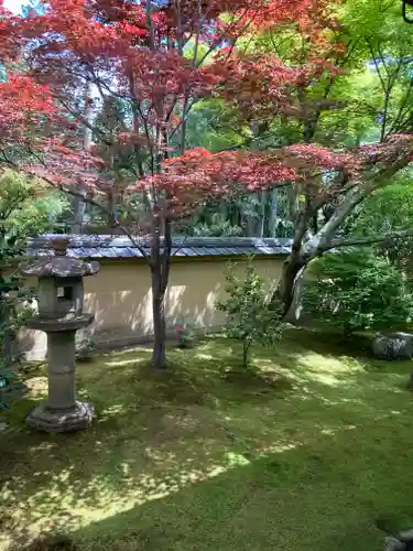 興臨院(京都府)