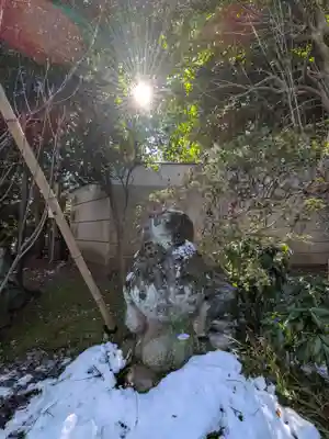 高円寺(東京都)