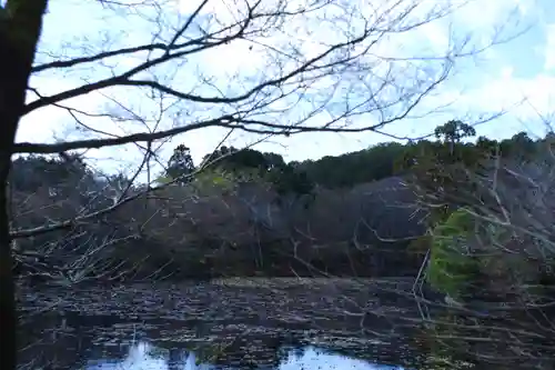 龍安寺(京都府)
