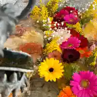 札幌諏訪神社の手水舎